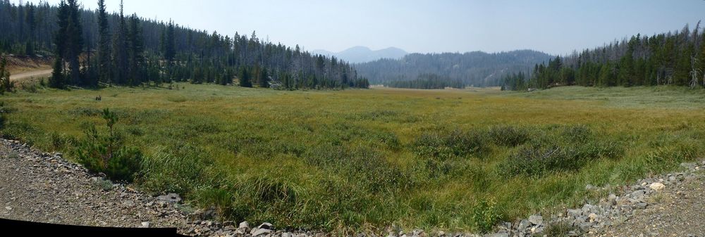 GDMBR: We're NF-175 looking south across a beautiful park.